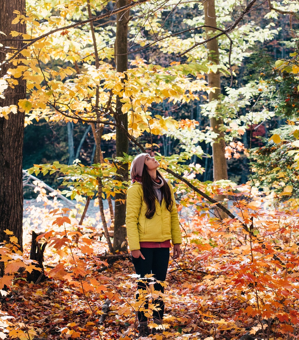 Predbračna čistoća, Zaruke, ljubav, zadovoljna