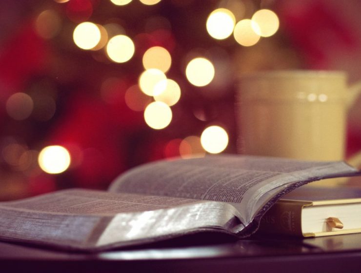 dopusti Mu da te pripitomi