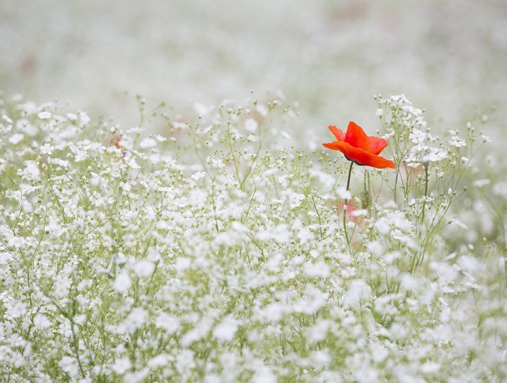 vrt kao katolički kutak za molitvu