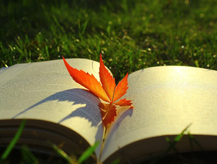 Top 5 najčitanijih knjiga Kršćanske sadašnjosti ove jeseni